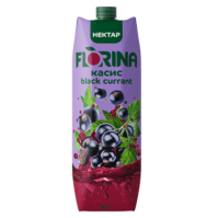 Нектар "Флорина" 1л Касис